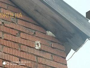 Утепление пенополиуретаном в Ижевске